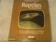 Reptiles and Amphibians (Wild, wild world of animals)