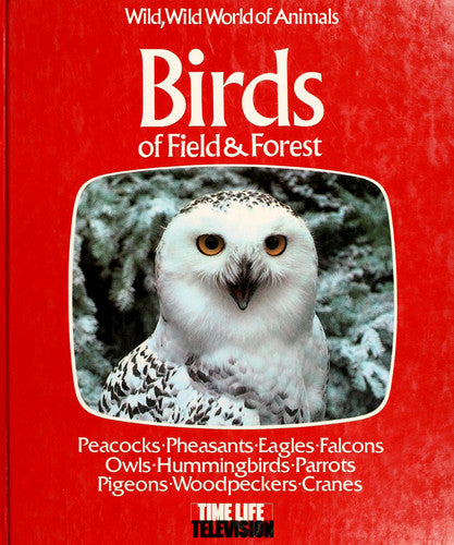Birds of Field and Forest (Wild, wild world of animals)