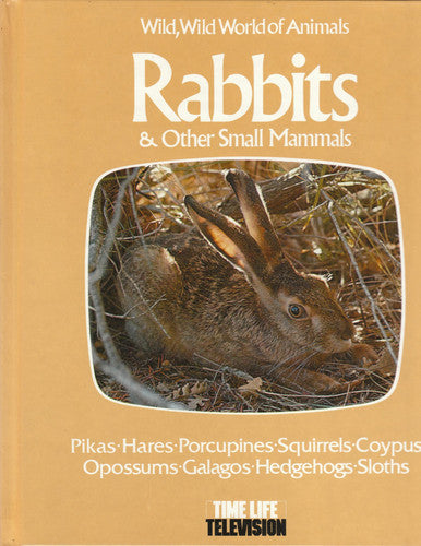 Rabbits and Other Small Animals (Wild, wild world of animals)