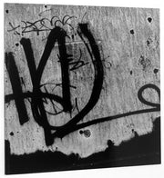 Road Trip: Photographs, 1980-1988: 49 (Untitled)