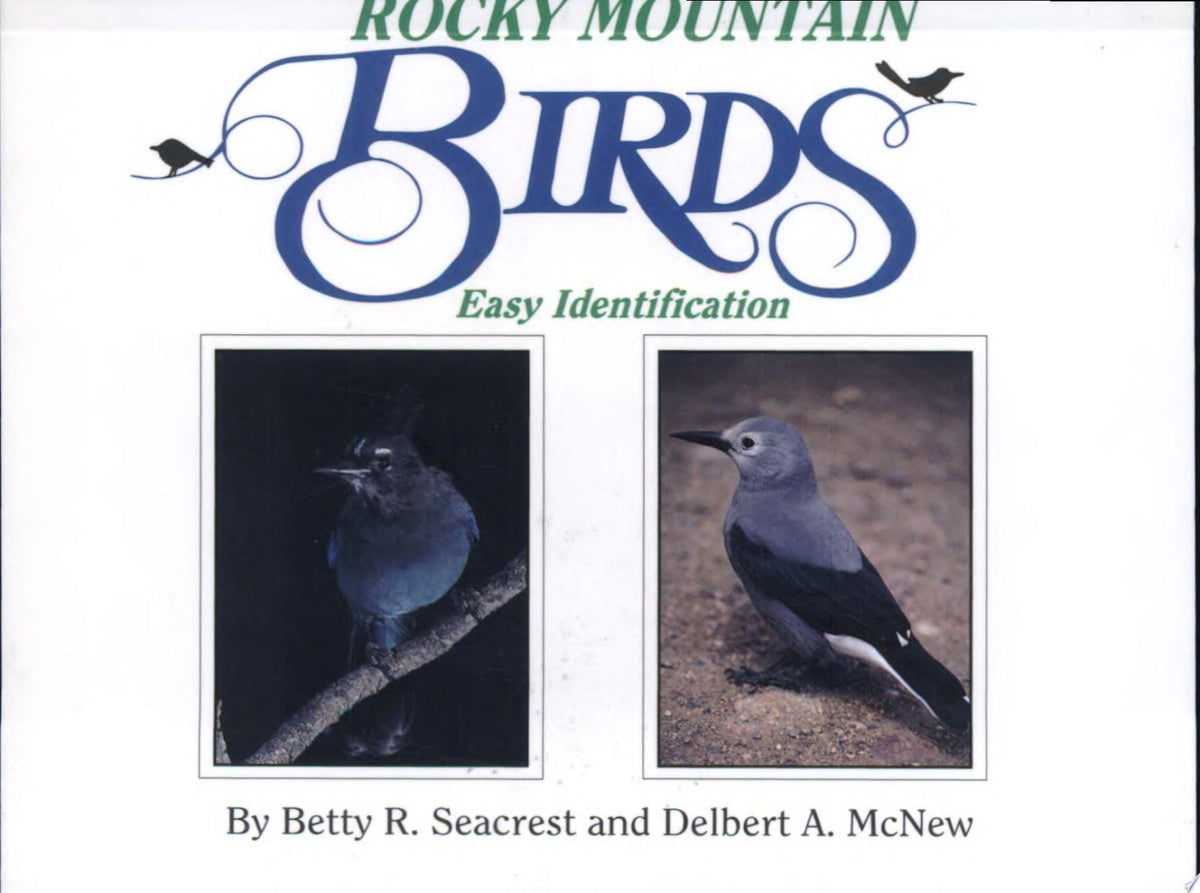 Rocky Mountain Birds: Easy Identification