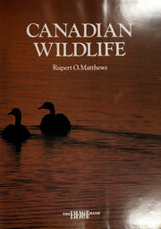 CANADIAN WILDLIFE.