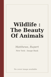 Wildlife : The Beauty Of Animals