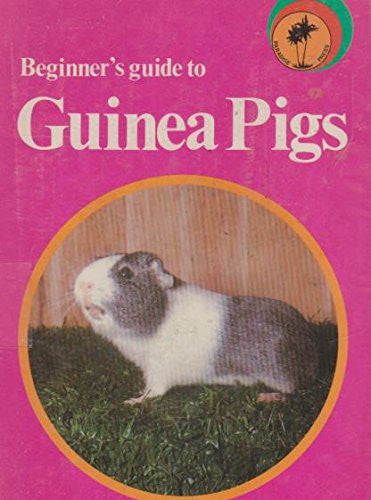 Beginner's Guide to Guinea Pigs