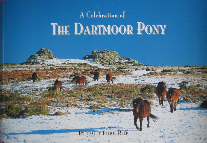A Celebration of the Dartmoor Pony