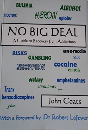 No Big Deal: A Guide to Recovery from Addictions