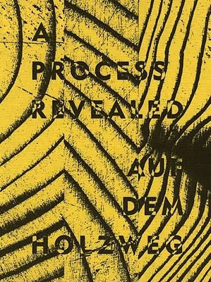 A Process Revealed / Auf dem Howlzweg:Stadthaus