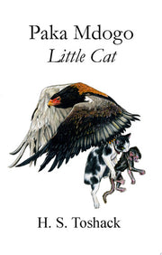 Paka Mdogo: Little Cat: Bk. 1 (Paka Mdogo Series)