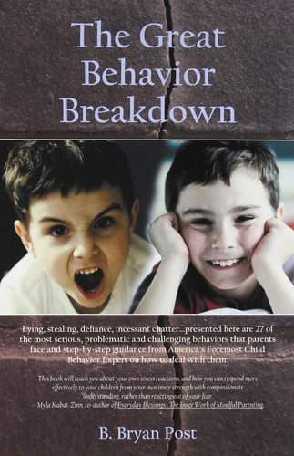 Great Behavior Breakdown