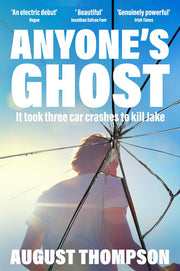 Anyone's Ghost: perfect for fans of A Little Life and Call Me By Your Name