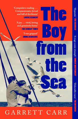 The Boy from the Sea: the heart-wrenching story of an ordinary Irish coastal town and an extraordinary boy