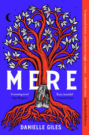 Mere: A Dark and Atmospheric Historical Novel of Survival, Forbidden Love and Secrets in a Medieval Convent