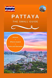 Pattaya the small guide: Advices, what to expect, visits, itineraries