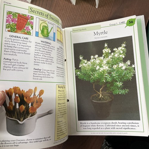 Success with House Plants Folders 3x vol. with Cards 