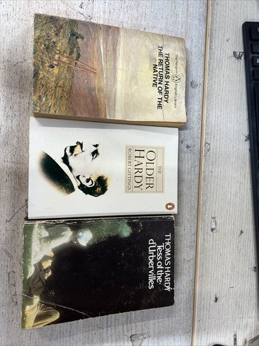 3x Thomas Hardy Penguin Classics Vintage ORANGE Book Bundle Set