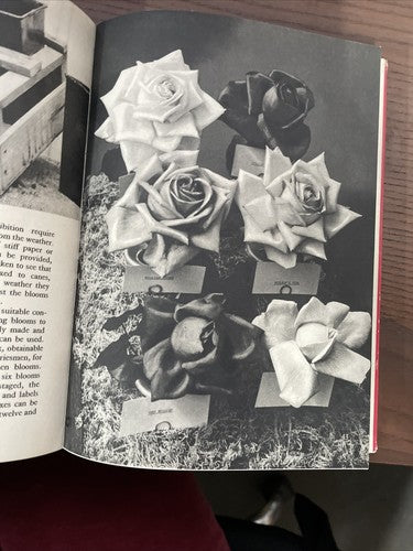 Roses, Amateur Gardening - Picture Book Number 2, A.G.L. HELLYER, 1st. Ed. 1954
