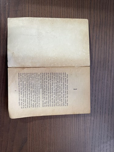 The Two Sisters - Honor Arundel 1970 (Scholastic Book Services)