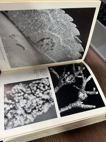 Odhams Fruit Growers' Encyclopaedia by Edward Hyams Hardback with Dustjacket
