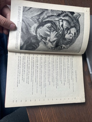 Vintage book. Wonders of nature. Odhams press