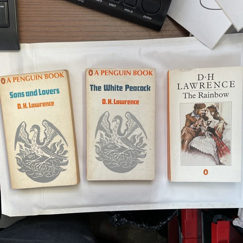 3x D H Lawrence Penguin Classics ORANGE Vintage Book Bundle Set
