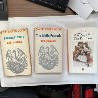 3x D H Lawrence Penguin Classics ORANGE Vintage Book Bundle Set