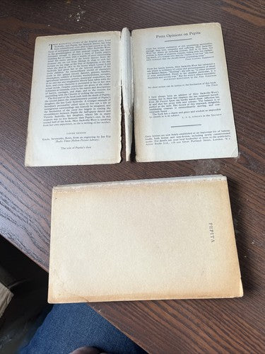 Pepita (Vita Sackville-West - 1961) Loose Sleeve - Grey Arrow