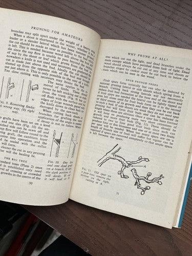 Pruning for Amateurs, R.Bush - Modern Living Series, Odhams Press 1955 - 1st Ed.
