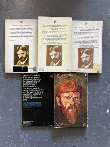 5x D.H.Lawrence Penguin Orange Vintage Book Set