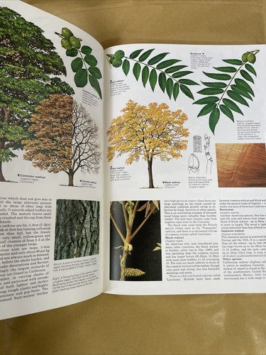 The Illustrated Encyclopaedia of Trees (1978) Hardback