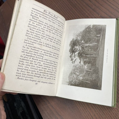 THE TREE BOOK by Mary Rowles Jarvis -  John Lane, The Bodley Head 1903