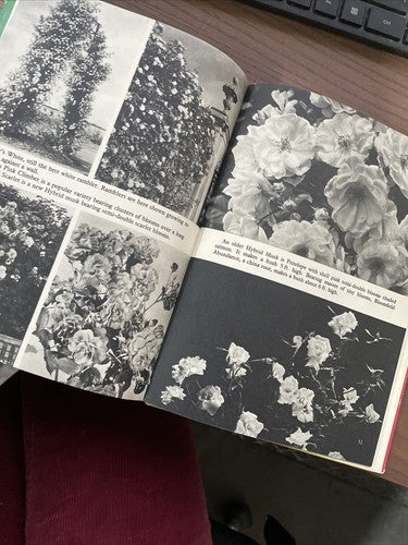 Roses, Amateur Gardening - Picture Book Number 2, A.G.L. HELLYER, 1st. Ed. 1954