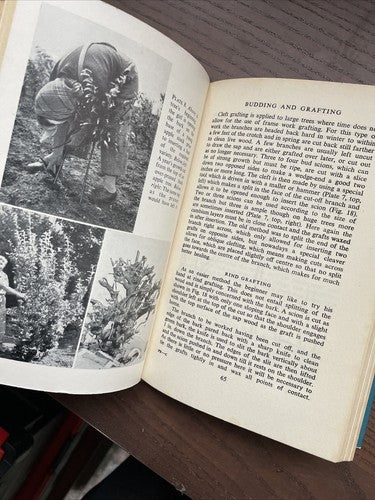 Pruning for Amateurs, R.Bush - Modern Living Series, Odhams Press 1955 - 1st Ed.