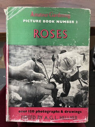 Roses, Amateur Gardening - Picture Book Number 2, A.G.L. HELLYER, 1st. Ed. 1954