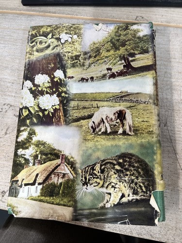 Britain's Wonderland of Nature - HB - Collins