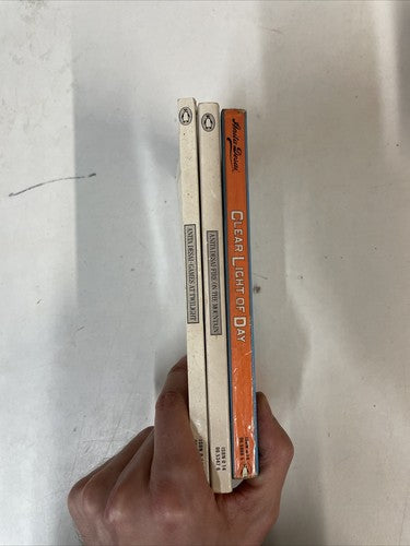 3x Anita Desai Penguin Classics Vintage Book Bundle Set