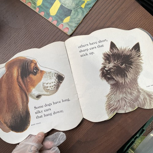 2x Golden Pleasure Books: The Elephant Book, The Dog Book - 1965/1966