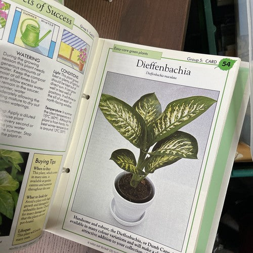 Success with House Plants Folders 3x vol. with Cards 