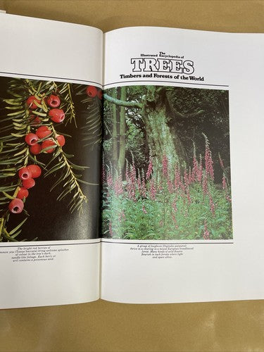 The Illustrated Encyclopaedia of Trees (1978) Hardback