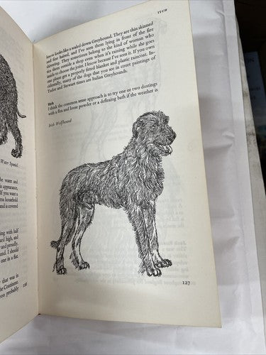 D Is For Dog By Frank Manolson 1964 First Edition Hardback 