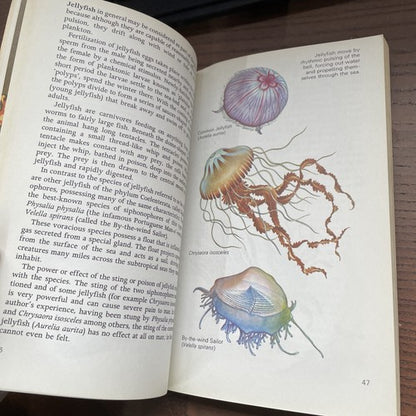 Life In The sea By John Croft, Hamlyn All-Colour Paperback 1969