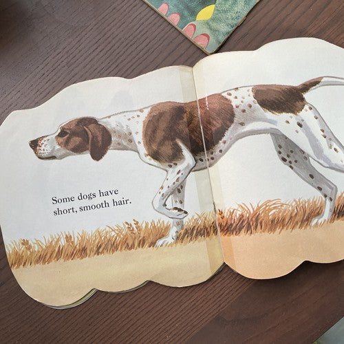 2x Golden Pleasure Books: The Elephant Book, The Dog Book - 1965/1966