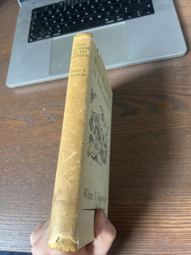 Wild Flowers in the Garden Walter T Ingwersen Garden Book Club