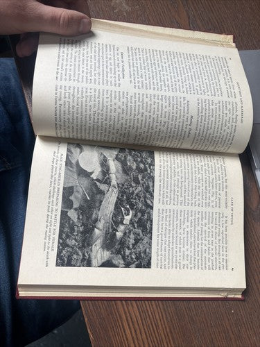 Vintage book. Wonders of nature. Odhams press