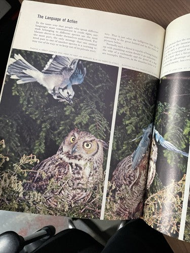 Animal Behaviour Life Nature Library by Niko Tinbergen 1969