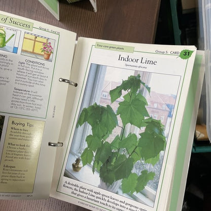 Success with House Plants Folders 3x vol. with Cards 