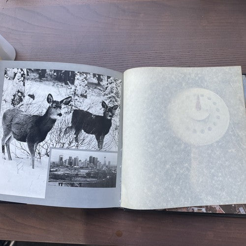 Petrigo's Calgary, Walter Petrigo - Hardback, 1978 