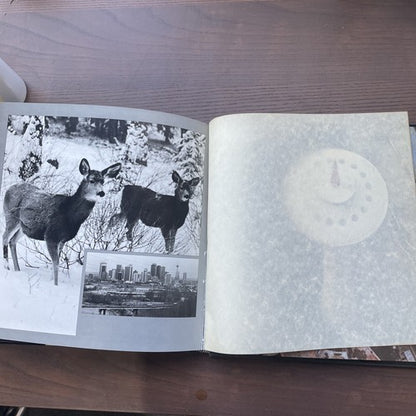 Petrigo's Calgary, Walter Petrigo - Hardback, 1978 