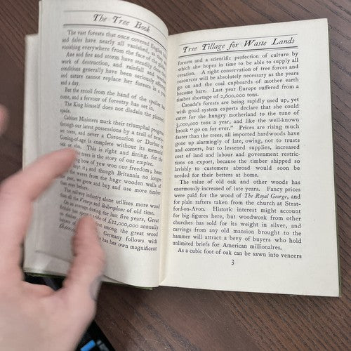 THE TREE BOOK by Mary Rowles Jarvis -  John Lane, The Bodley Head 1903