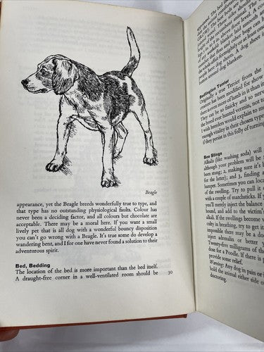 D Is For Dog By Frank Manolson 1964 First Edition Hardback 