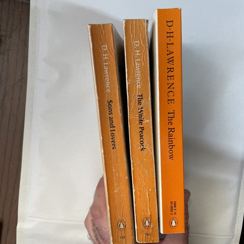 3x D H Lawrence Penguin Classics ORANGE Vintage Book Bundle Set